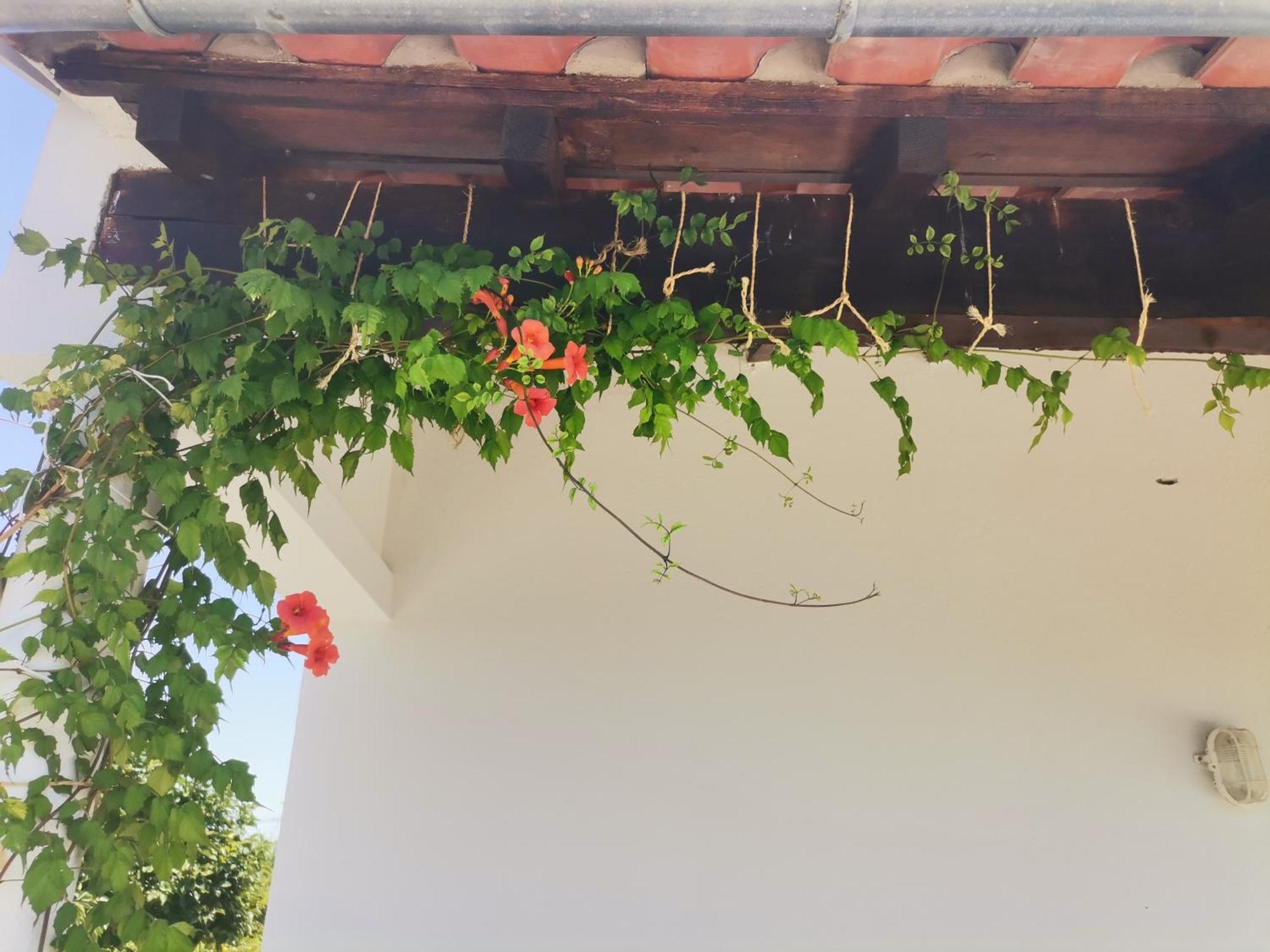 Pensjonat Quinta Do Retiro Felgar Zewnętrze zdjęcie